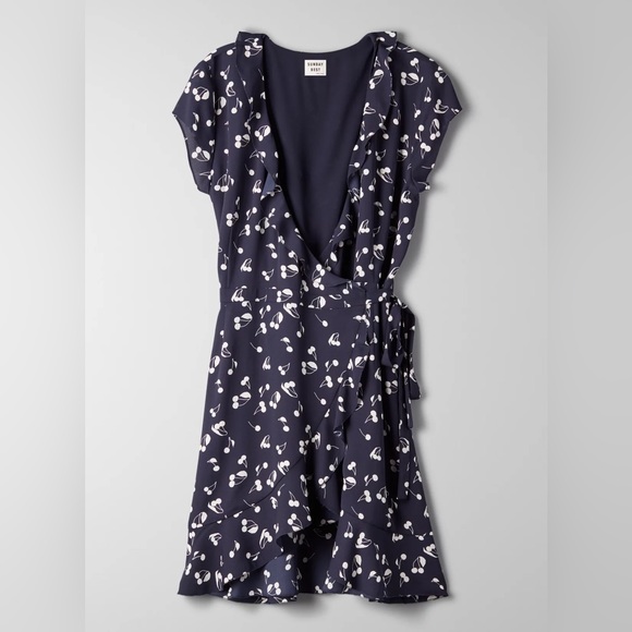 ARITZIA Sunday Best Savoy Dress - Picture 13 of 13